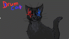 @drumcat