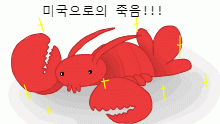 LOBSTA???