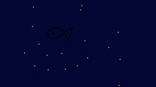 WHere did the fish g0??