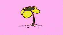 oh, blooming buttercup