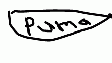 puma flip flop
