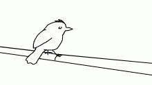 add more berds :)