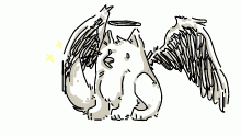 angel doggo