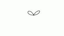 Martin the butterfly