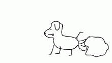 My dog peed