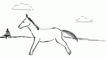 Galloping horse!