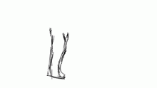 leg