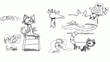 Animalmamamamals