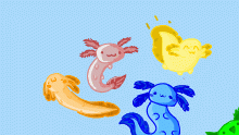 q w q So CUTE
