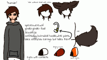 character reference sheet