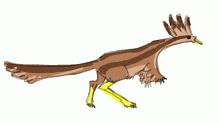 Albert saurus