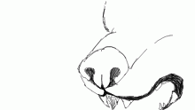 nonmee
