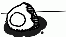 skull