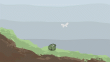 Toad