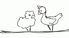 two birds on a wire