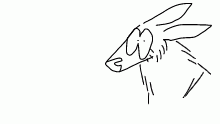 deeer