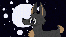 Dog at Night