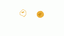 coin drop