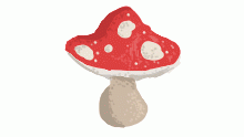 Cute Mushroom