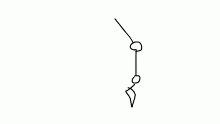 leg