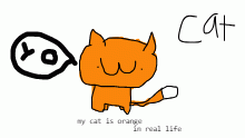 yo, its a cat
