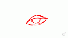 Random animation 19