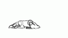 longtail wip