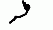flip