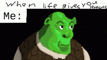 When life gives you lemons...
