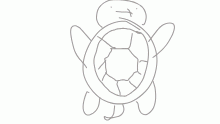 Mr. Turtle