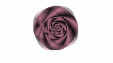 Vortex