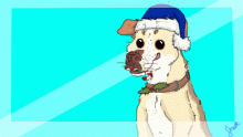 Happy Holidays, From Happy the dog