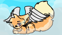 Norani- new oc