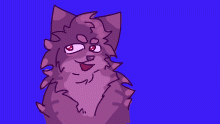 fluffy cat