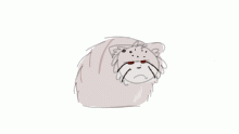 pallas cat