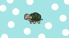 IT'S WORLD TURTLE DAY!!!
