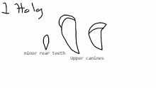 every single tooth.