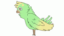 birb