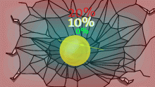 increase