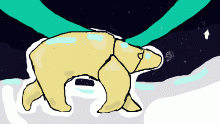 Polarbear