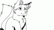 cat!