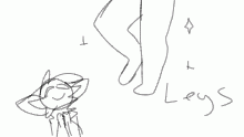 -+Legs+-