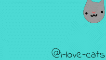 @!-love-cats