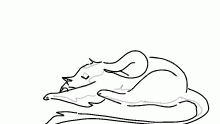 gn!