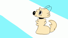 Avatar for win-ner