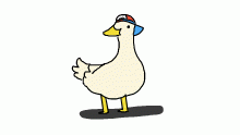 Shuba Duck