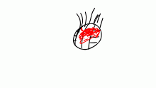 Wilson from Castaway but
