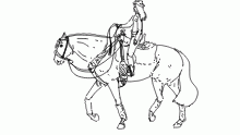 lazy trot doodle