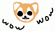 Doge
