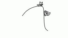 Long live the bun